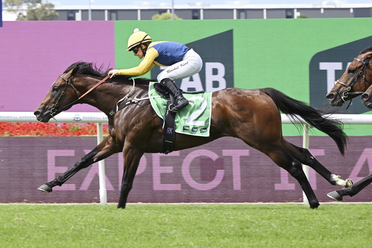 Sword Of State colt stamps Slipper credentials