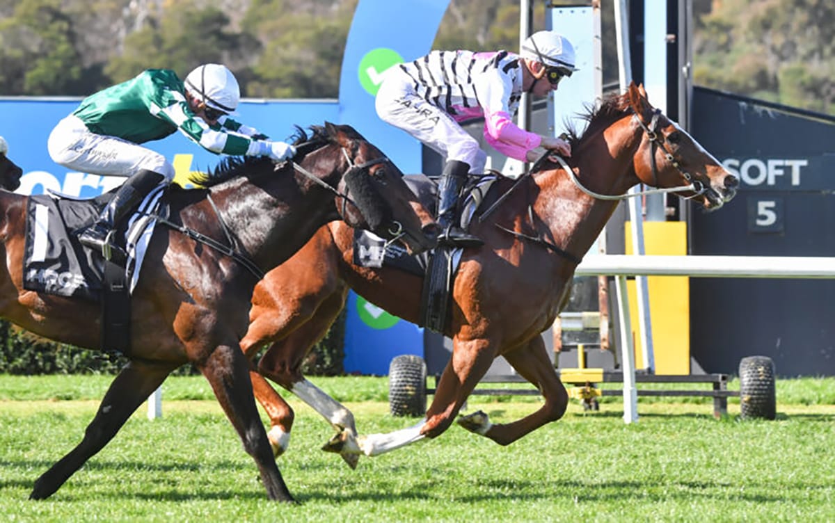 No Observer for Planet Red at Caulfield