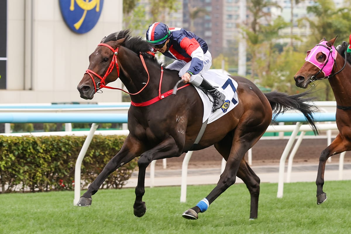 Numbers faces tempo test in HK$26 million BMW Hong Kong Derby