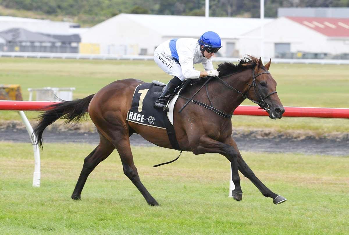 Stud syndicate swoops on Champion Three-Year-Old Savaglee