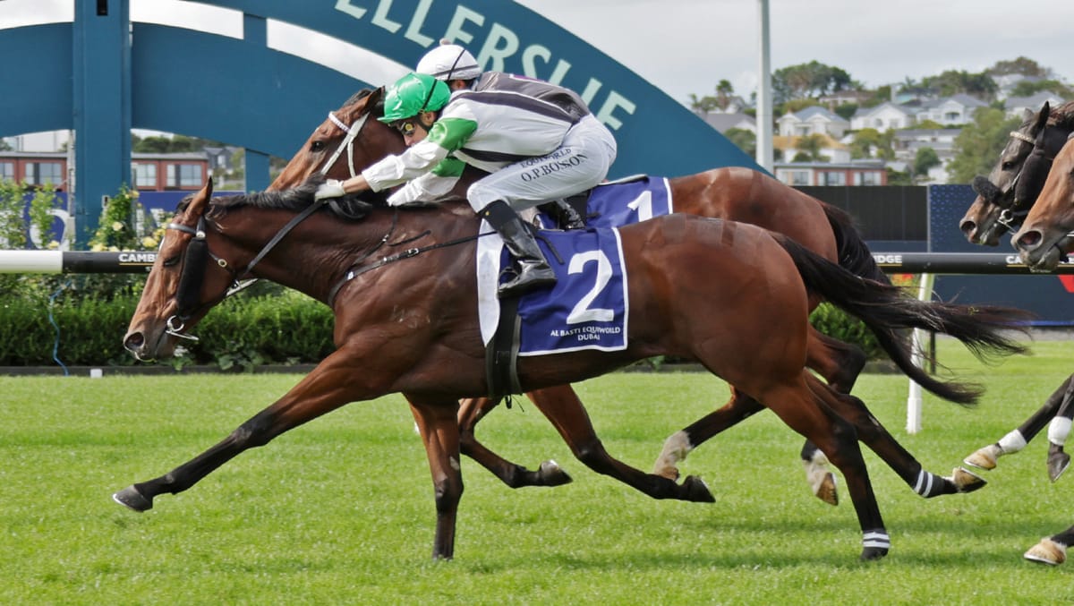 Easter Handicap next for Cannon Hill