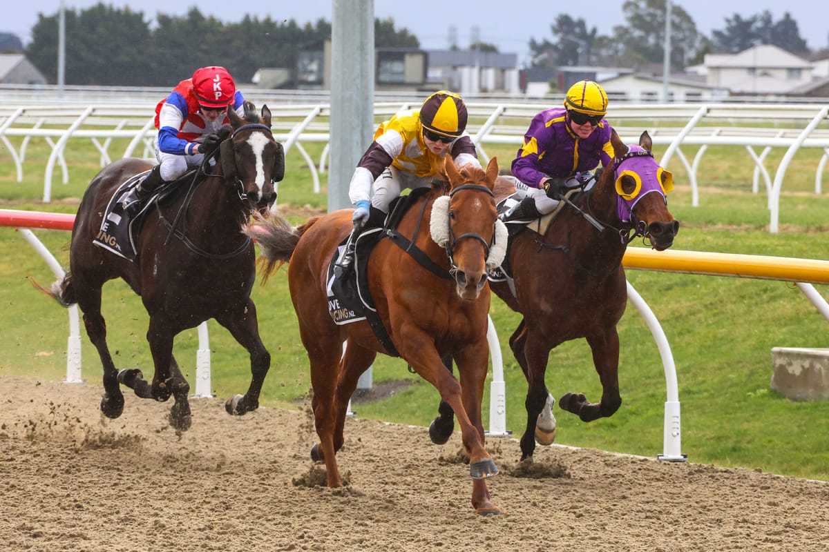 Telperion mare ready to turn fortunes around