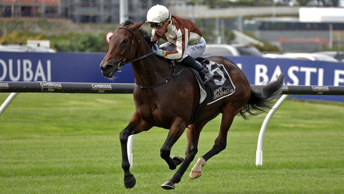 Bigger things tipped for Levakia