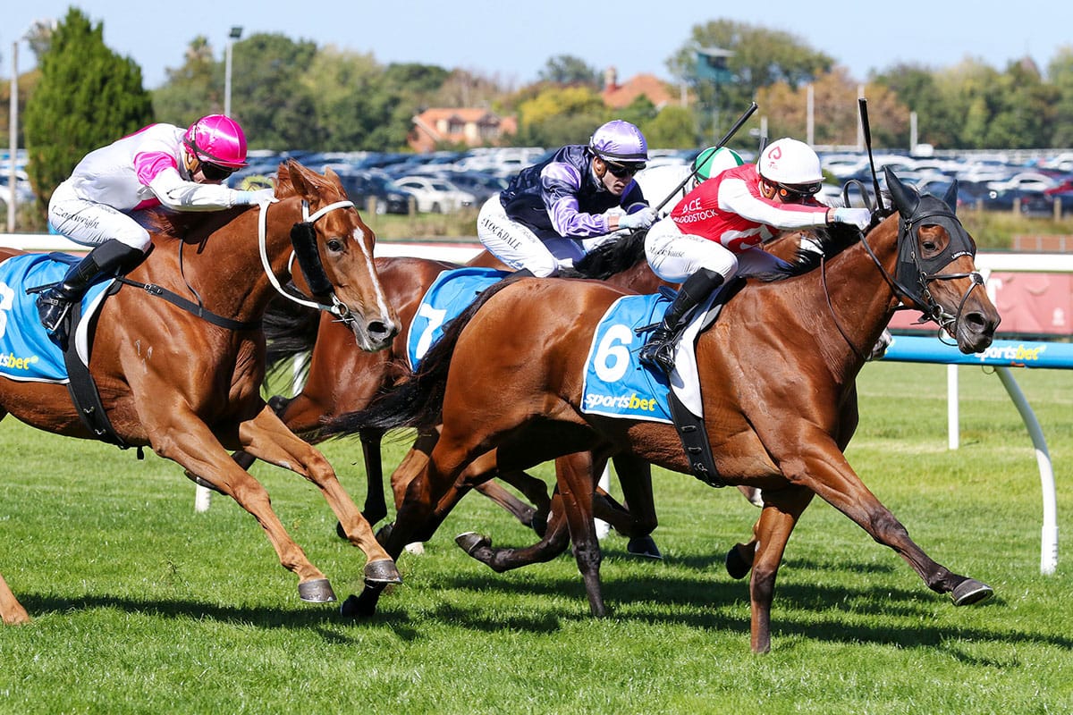 The Western Front shows staying prowess