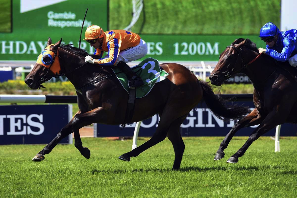 Avantage to back-up in Shannon Stakes