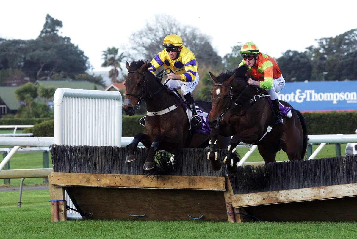 Sweet revenge for Bad Boy Brown in Ellerslie jumping feature