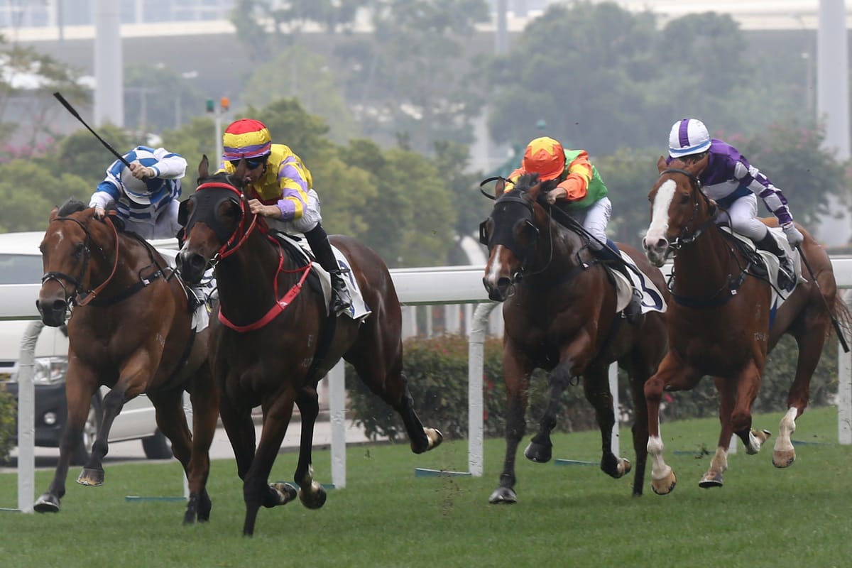 HK Derby winner retired