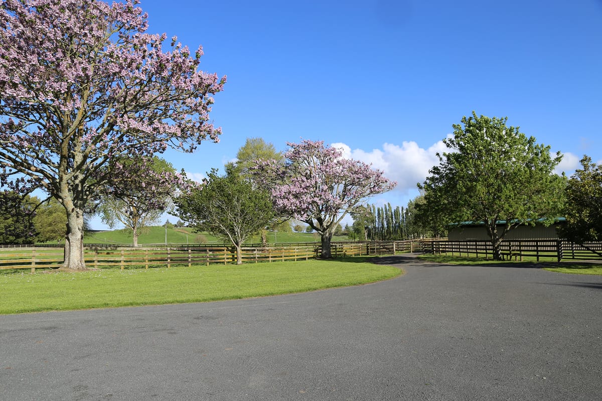 Go Racing and Marsh Racing purchase agistment property