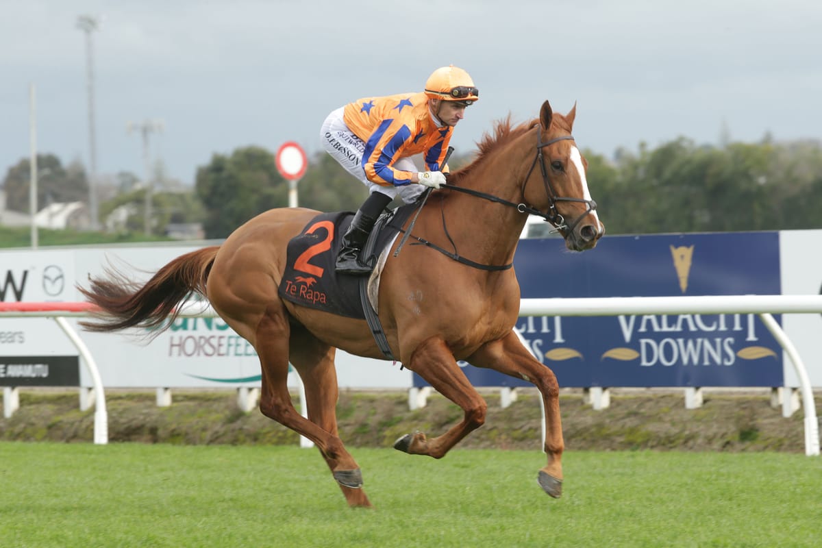 The Shark to head to Melbourne