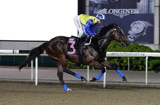 Autumn Assault out to continue winning ways