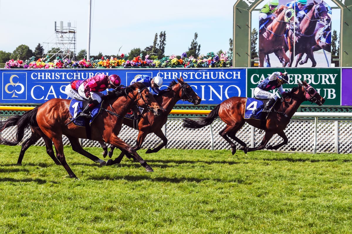 Dee And Gee scores emotional success in New Zealand Cup