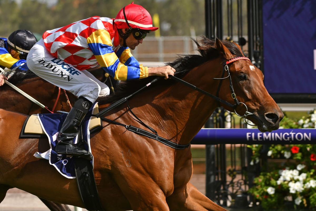 Manolo Blahniq Railway bound