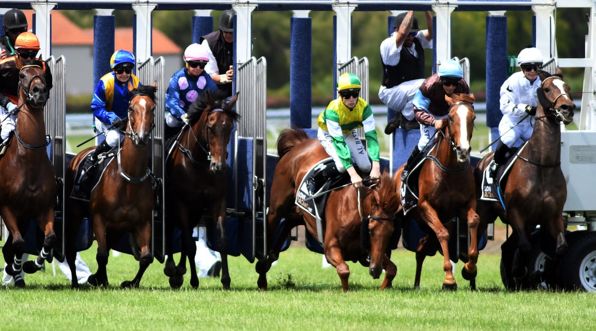 Starting gate stumble no barrier to Beauden