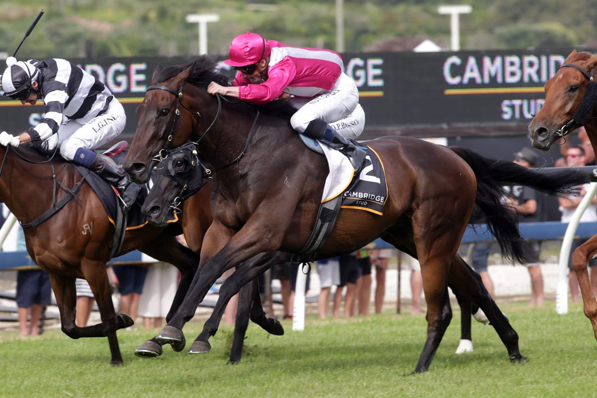 McDonald True Enough in Zabeel Classic