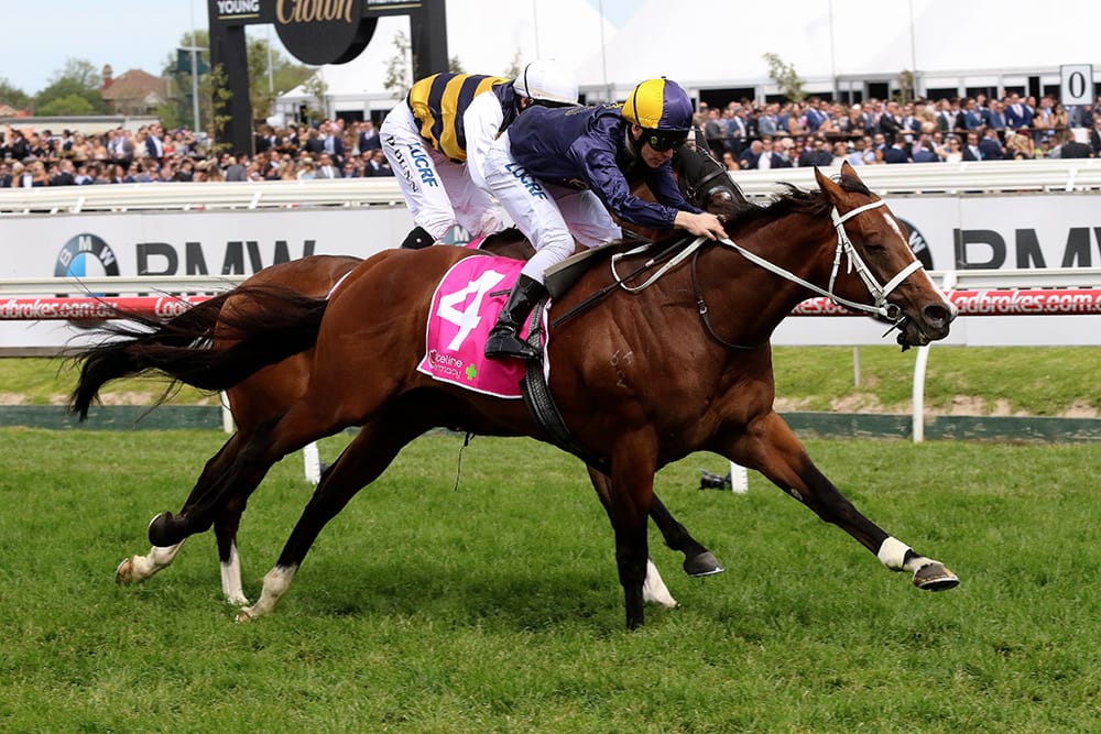 Karaka First Crop Sire - Vanbrugh
