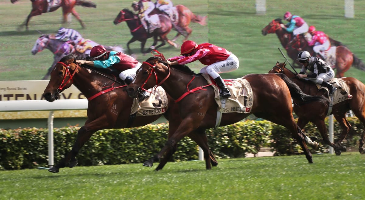 Mr Stunning seeks revenge in G1 Centenary Sprint Cup