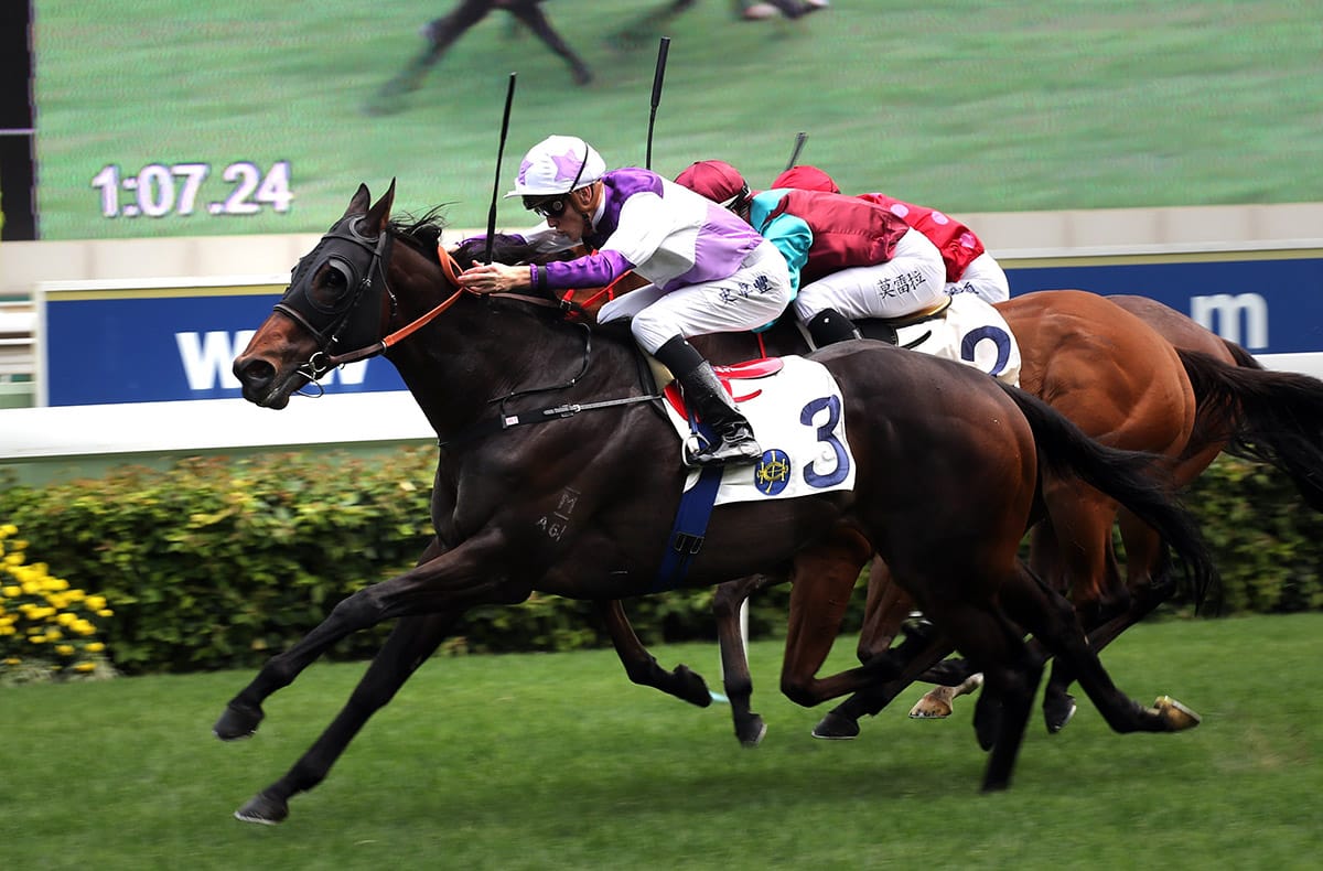 Rattan takes Stewards’ route as Gibson’s Wishful for more Group 1 spoils