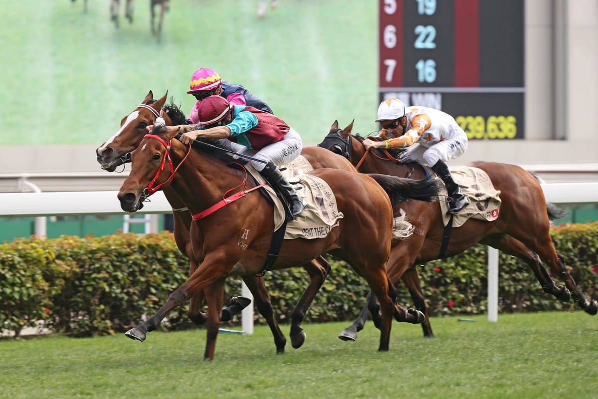 Beat The Clock does it again in Centenary Sprint Cup