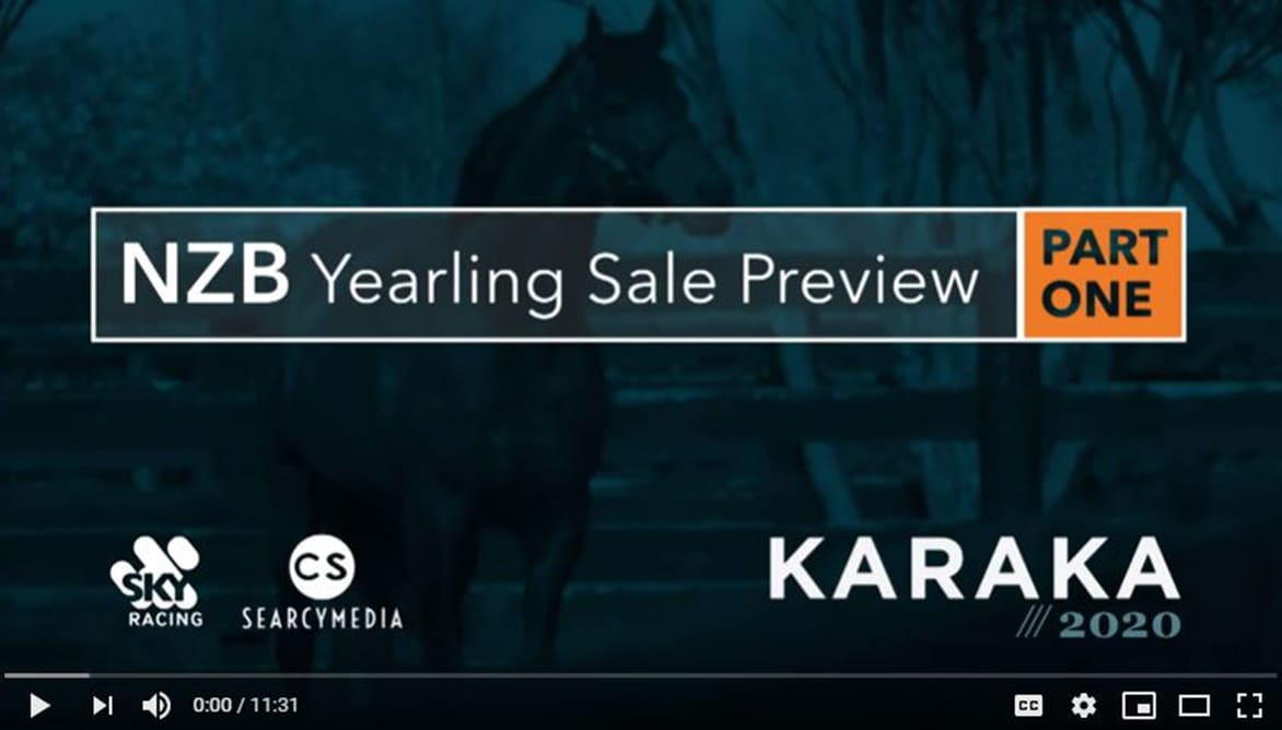 Video: Karaka Yearling Sale Preview – Part 1