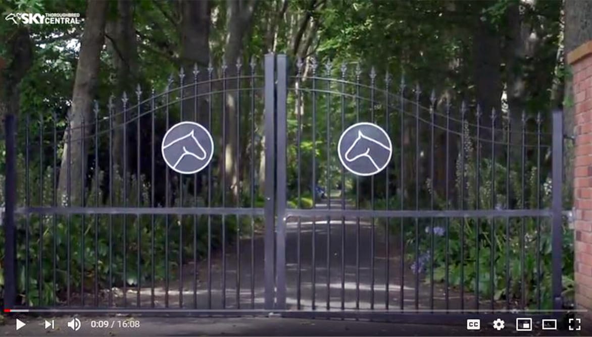 Video: Karaka Yearling Sale Preview – Part 3