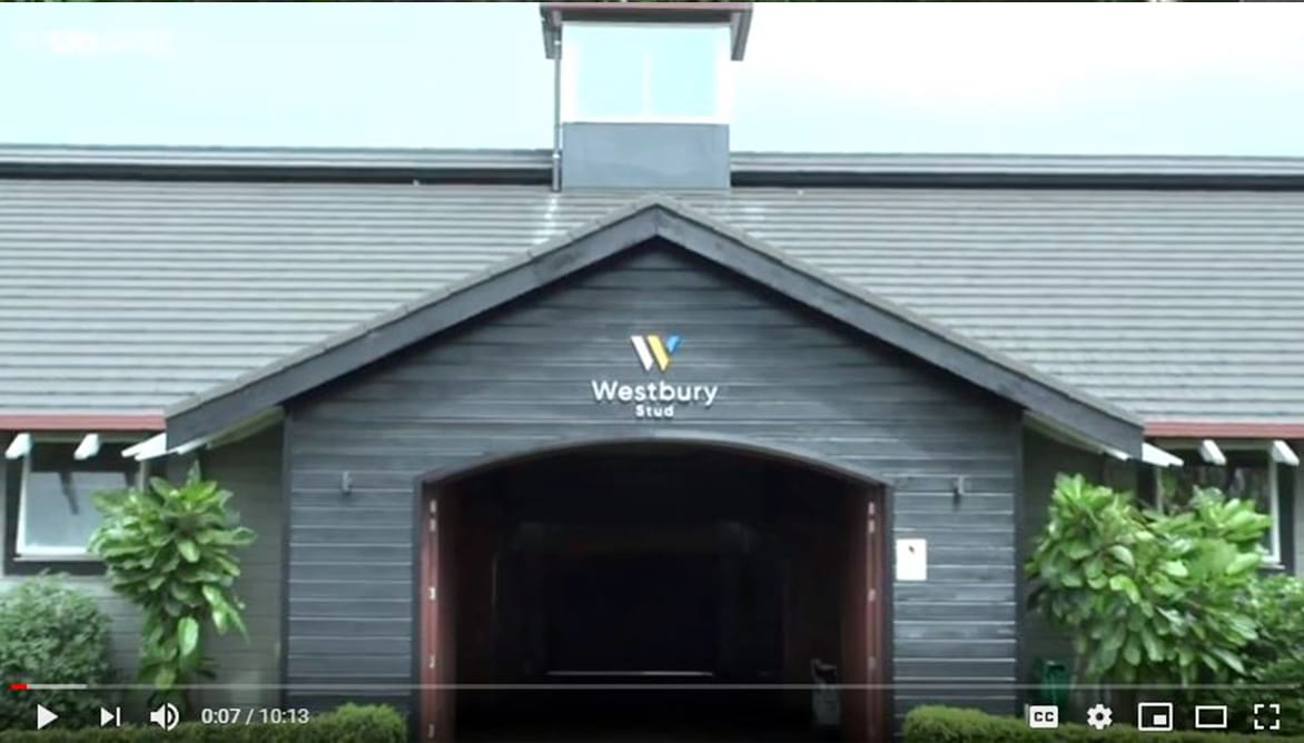 Video: Karaka Yearling Sale Preview – Part 4