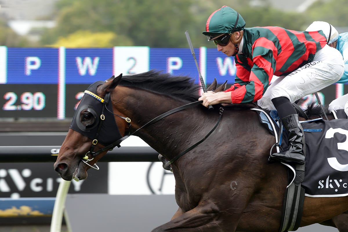 Wexford 3YO leaps into Derby contention