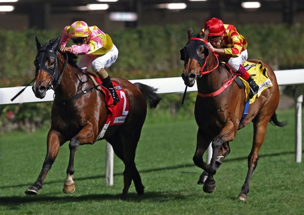 Highly Proactive fights back in Valley finale