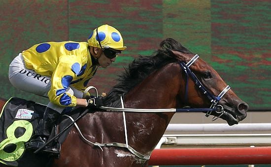 Leading Stewards' Cup contender Mr Malek spearheads Burridge revival