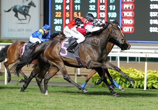 Brown to get a line on Bowl contender