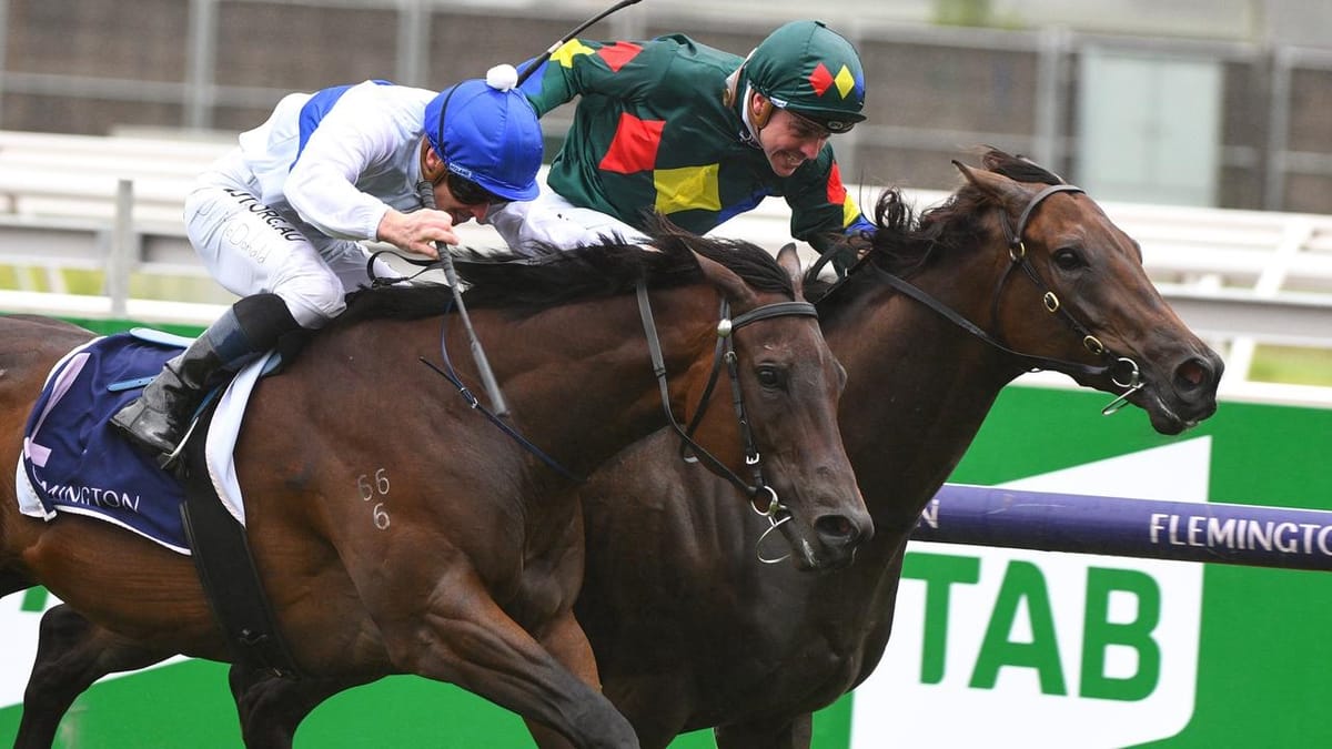 Alligator draws first Blood