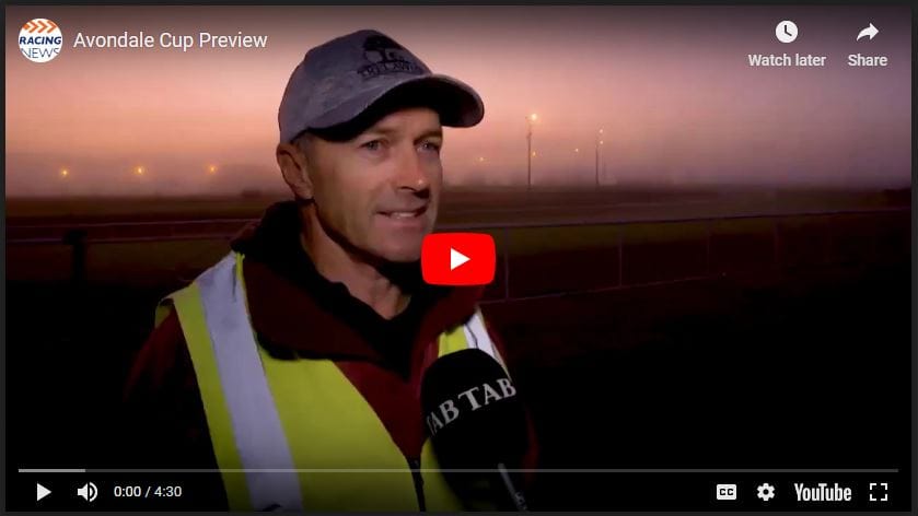 Video: Avondale Cup Preview