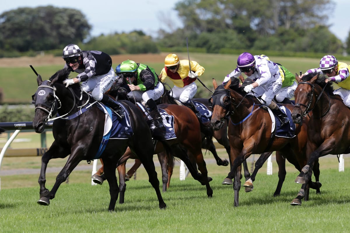 Home By Midnight wins Launceston Cup