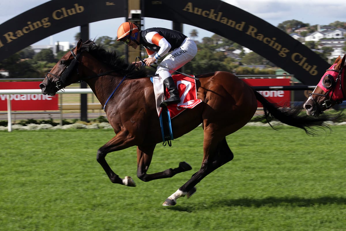 Sherwood Forest outstays them in Derby upset