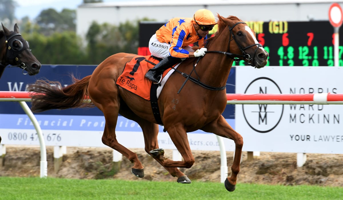Shark Attack at Te Rapa