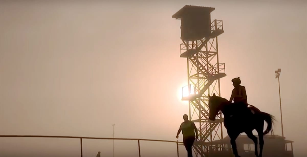 Video: Te Akau Shark & Avantage