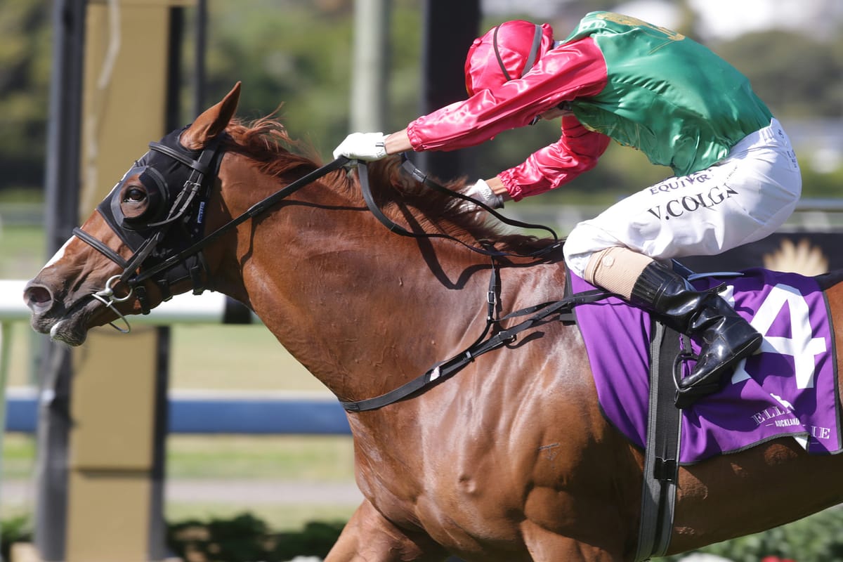 Colgan full of praise for leading Derby hopes