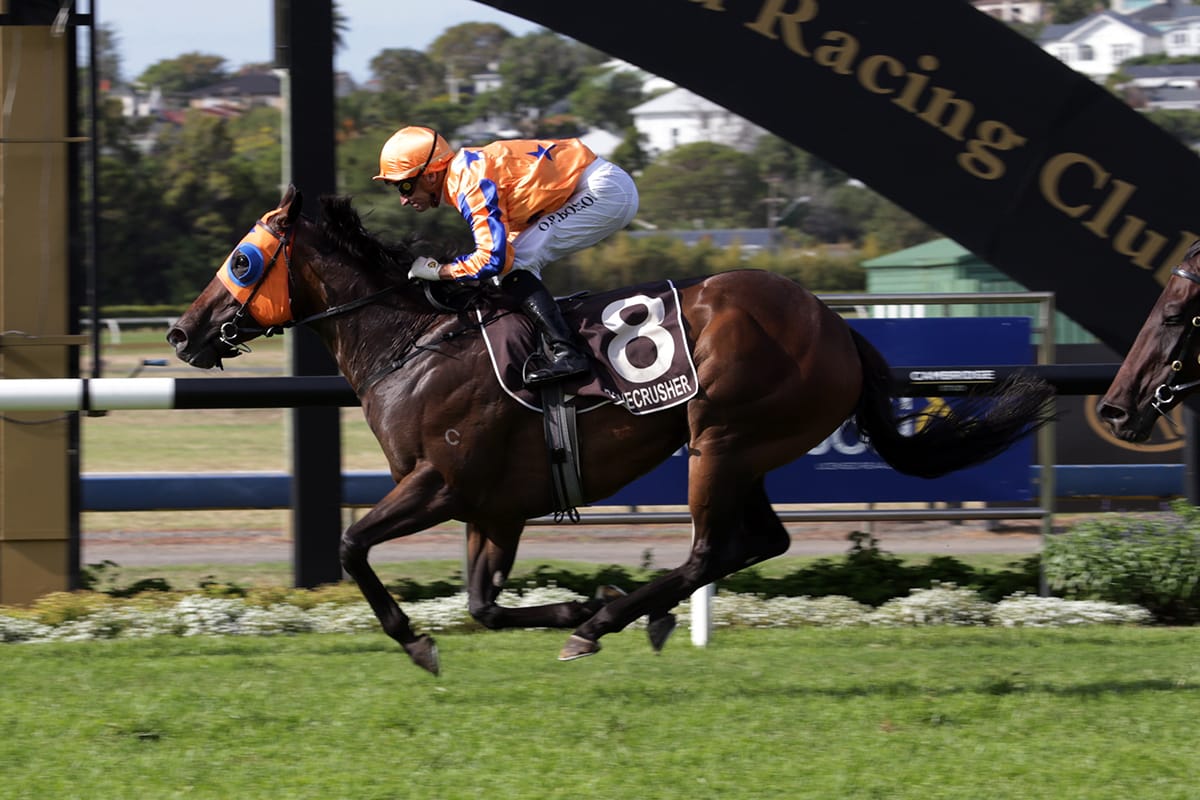Avantage all class in Ellerslie feature