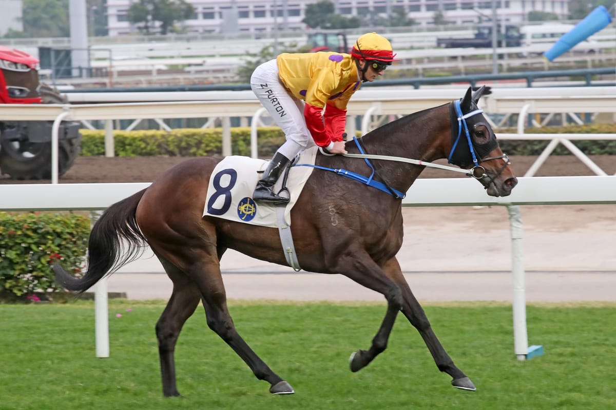 Columbus leads the Kiwis in this year’s BMW Hong Kong Derby quest