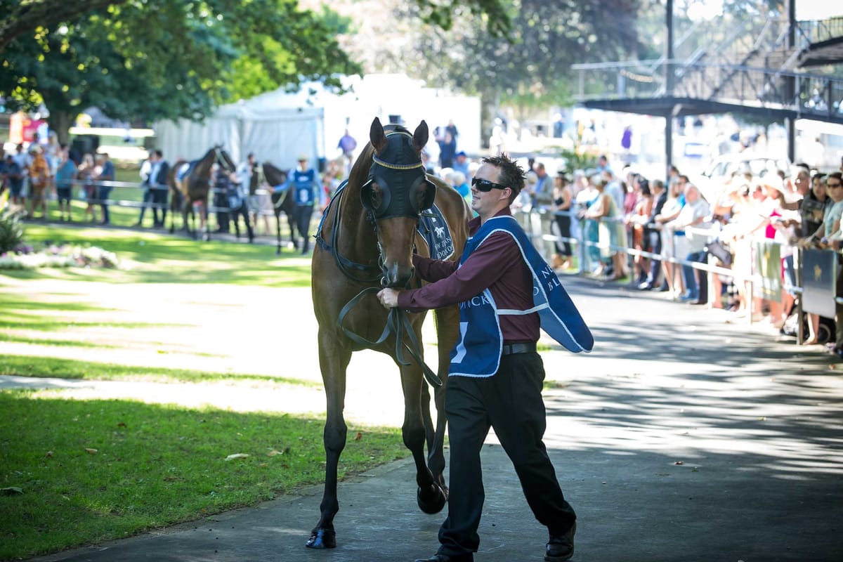 Racing to temporarily cease