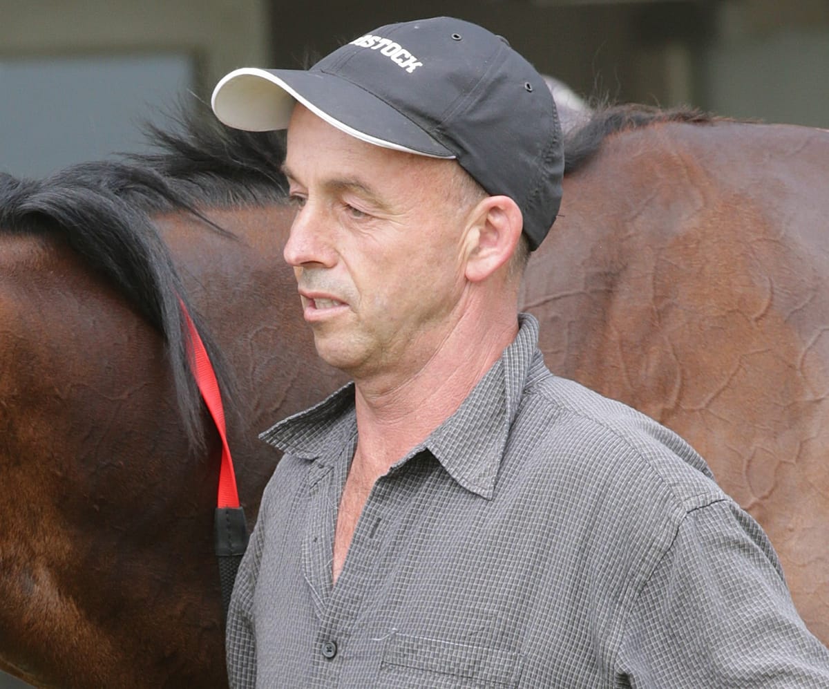 Shark the best yet for breeder