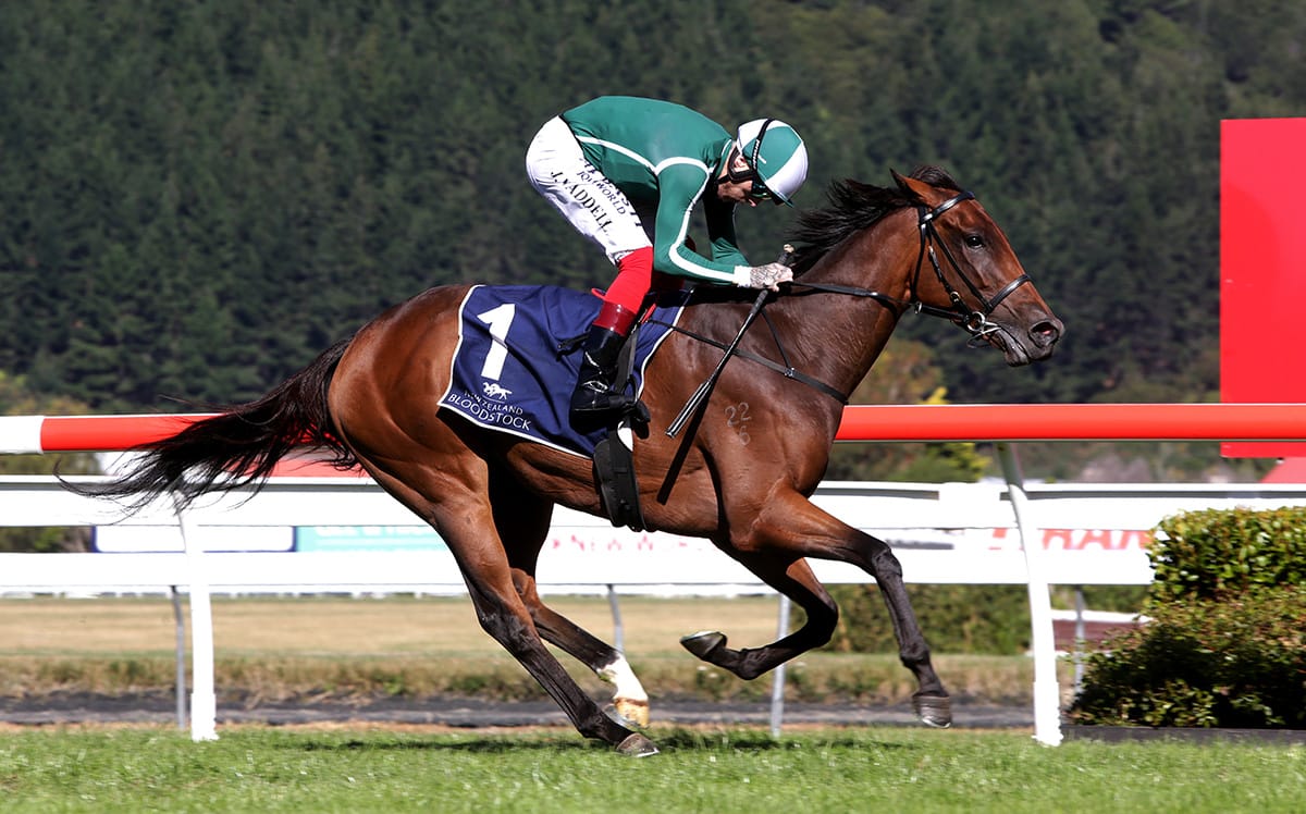 Waddell mastery sets up dominant Oaks for Jennifer Eccles