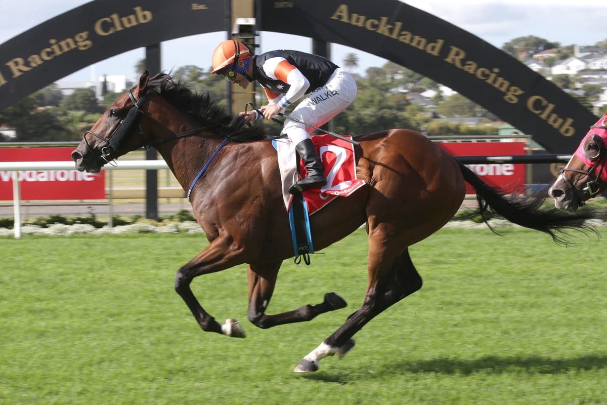 Travel complications for Kiwi raiders