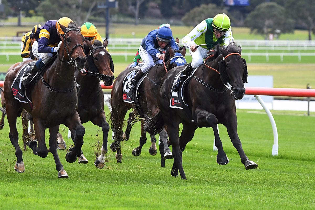 Like father, like son