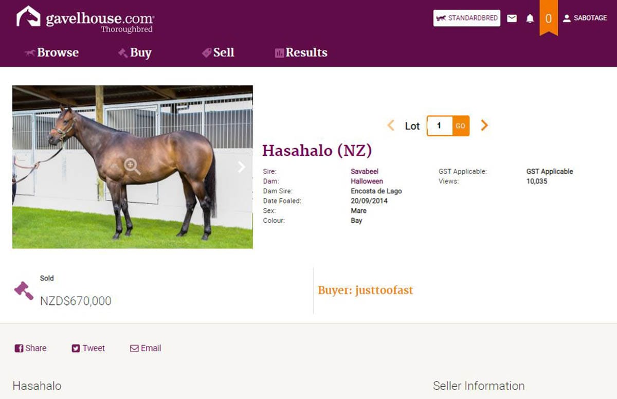 Gavelhouse.com to launch enhanced site