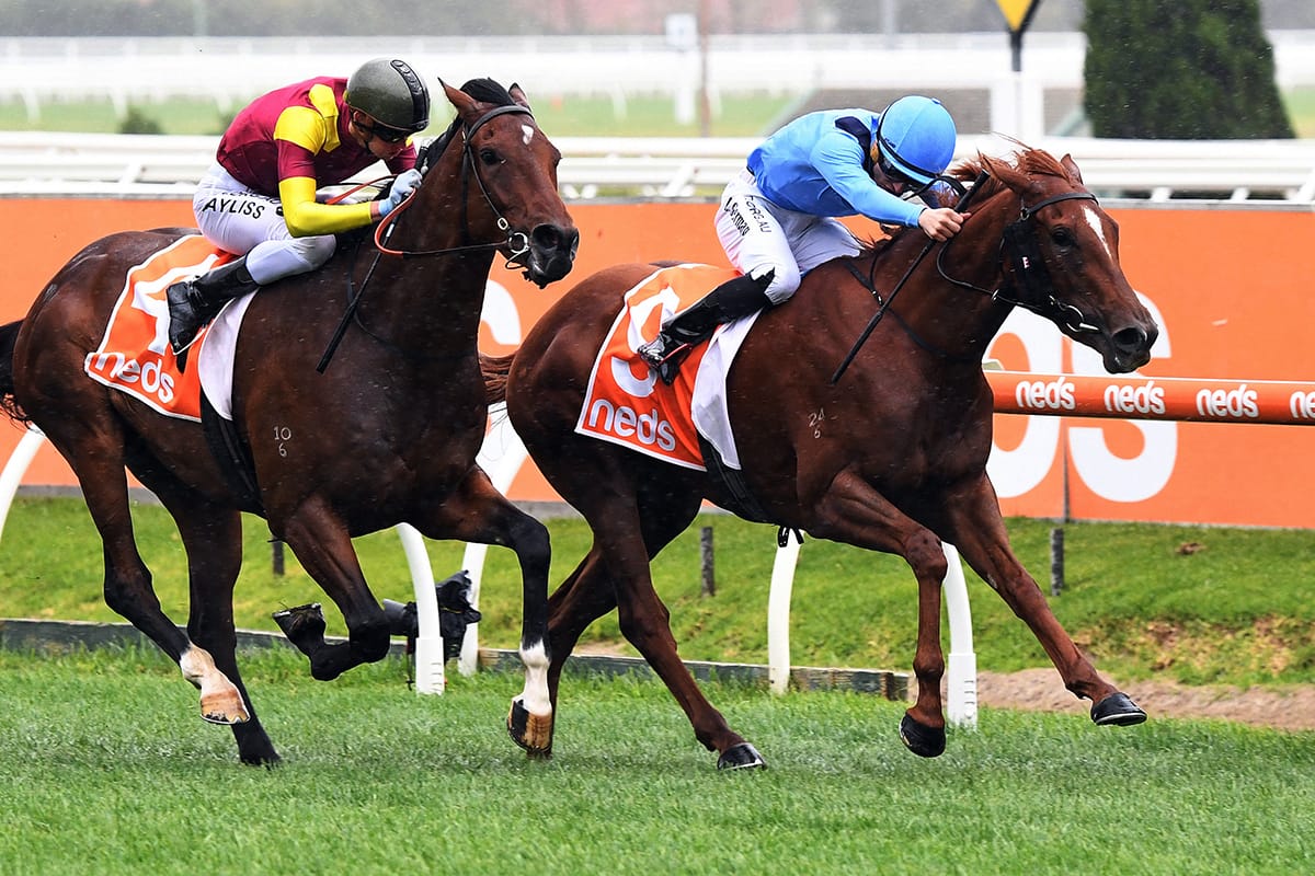 Former Kiwi jockey lands first win as a trainer