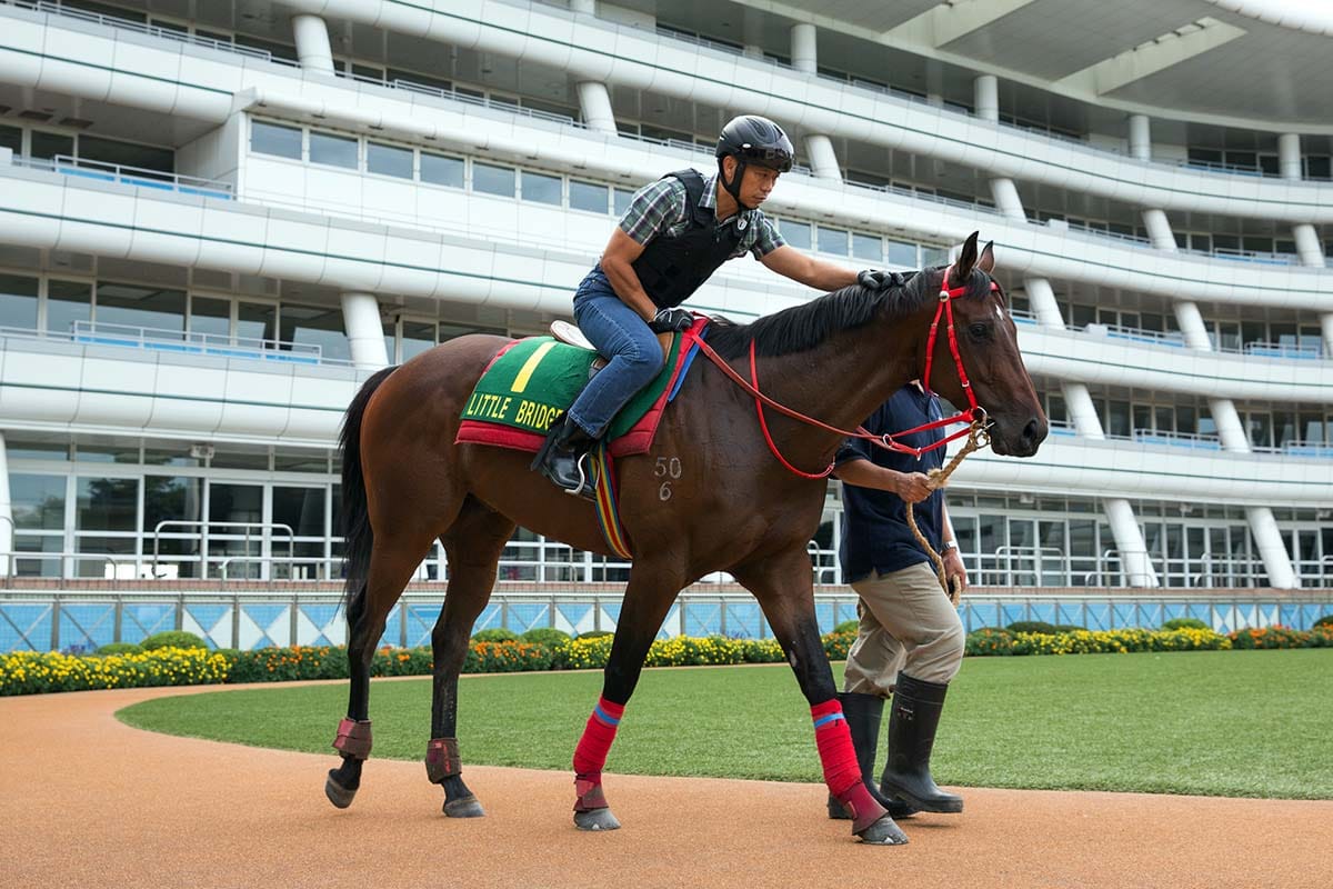 Japan behind closed doors until June