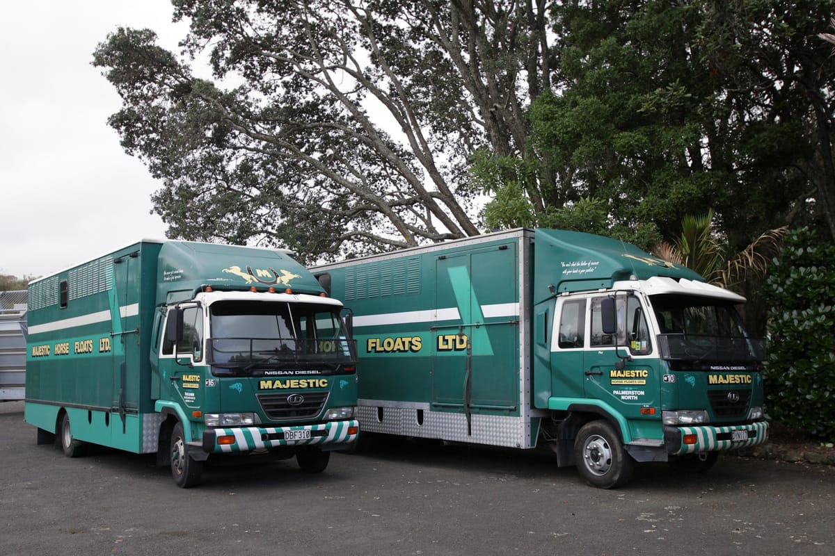 Horse road transport set to resume