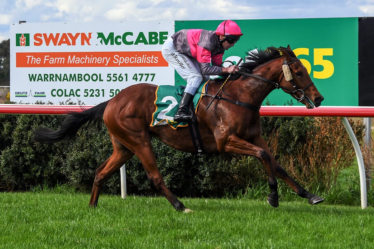 Bright future for son of Raise The Flag