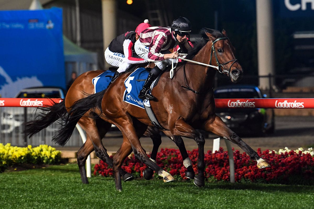 Parsifal to kick off Dubai campaign