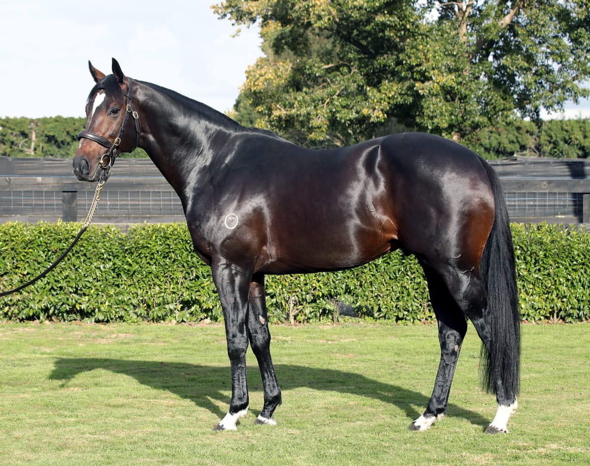 Novara Park announce 2022 service fees